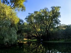 -上海共青森林公园