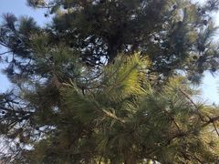 -长春公园(普阳街道)