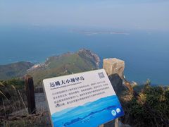 -杨梅坑
