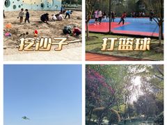 -杭州城北体育公园