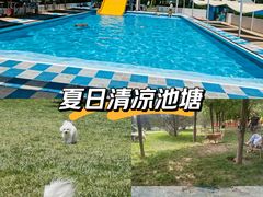 -爪吧宠物乐园·宠物泳池(温榆河示范区店)