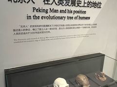 -北京周口店北京人遗址博物馆