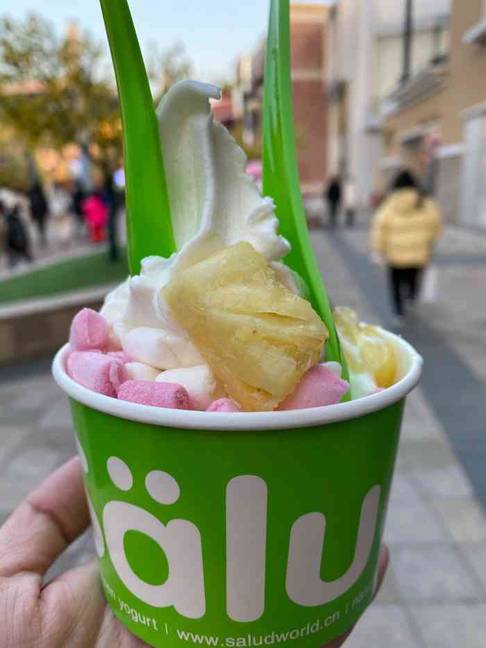 salud撒露欧洲冻酸奶蓝色港湾店