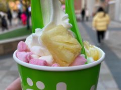 -Salud撒露欧洲冻酸奶(蓝色港湾店)