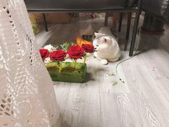 -217笋干馄饨