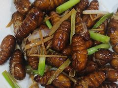 -品味居·首店·大连鲜活海鲜大连菜(东港店)