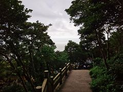 -珞珈山-售票处