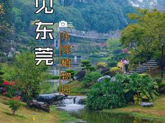 -东莞植物园