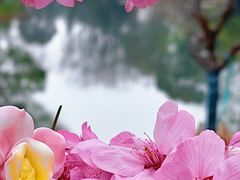 -梁鸿国家湿地公园