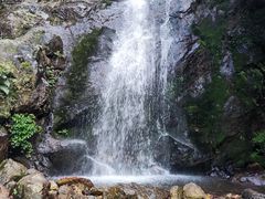 -江西阳明山国家森林公园