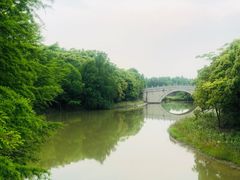 -上海海湾国家森林公园