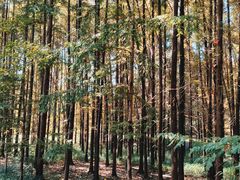 -扬州市茱萸湾风景区