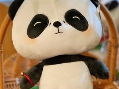 -轩客会(熊猫书店)