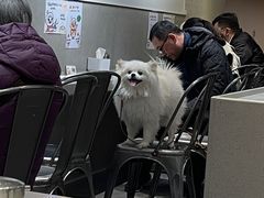 -小豆海棠(嘉兴路店)