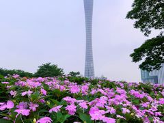 -广州塔