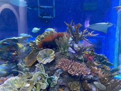 -成都浩海立方海洋公园