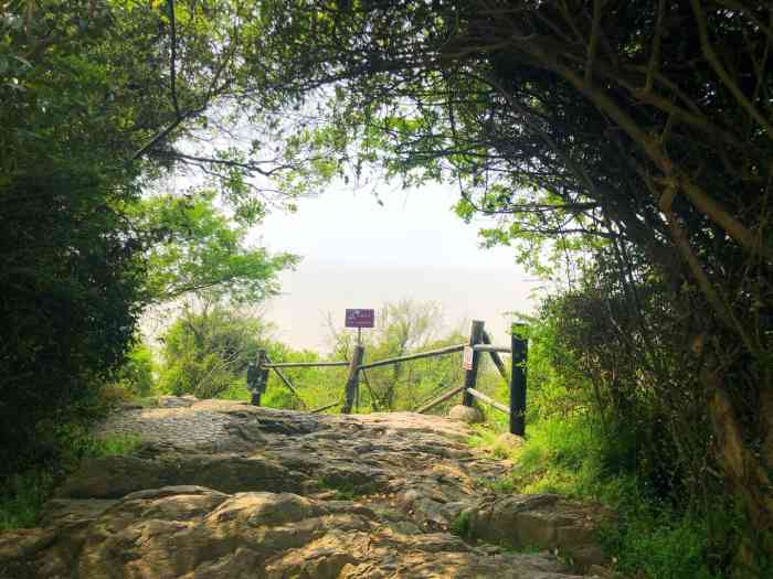 外蒲山-"虽然是平湖人,但外蒲山上桥上岛还真是第一."-大众点评移动版