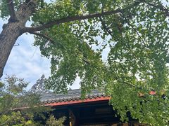 -古大圣慈寺
