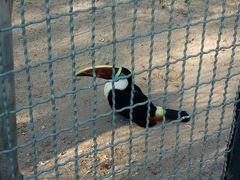 -石家庄市动物园