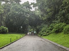 -莲花山公园