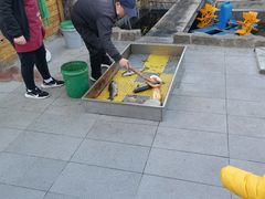 -京北渔家傲