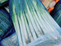 -海吉星国际农产品物流管理有限公司