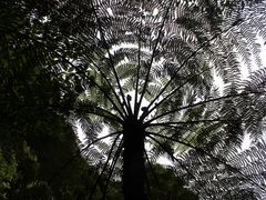 -赤水丹霞旅游区·佛光岩