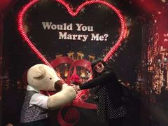 -济州岛泰迪熊博物馆