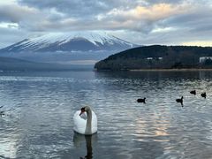 -富士山吉田線五合目