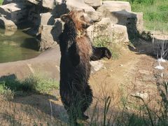 -杭州野生动物世界