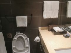 -和颐至尊酒店(上海徐家汇桂林公园地铁站店)