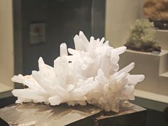 -安徽省地质博物馆