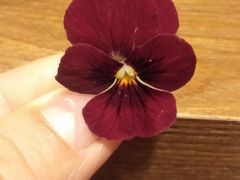 -無境·匠心日本料理(汉街店)