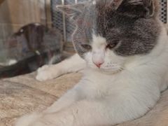 -1013 PET SHOP 宠物商店(近铁城市广场店)