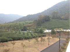 iphone_upload_pic-余姚阳明温泉山庄