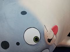 -海合安青岛极地海洋公园