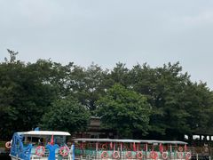 -大湾区中央湿地公园