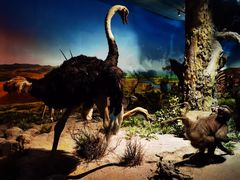 -国家自然博物馆