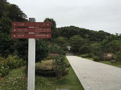 -广州市帽峰山景区