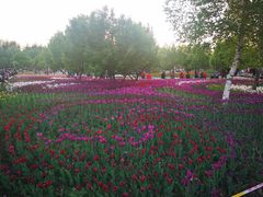 -长春公园(普阳街道)