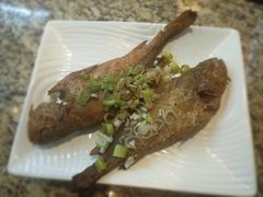 -锦江宾馆-花园餐厅