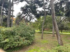 -长春市南湖公园