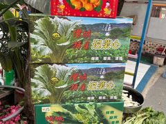 -荔枝红五号农庄