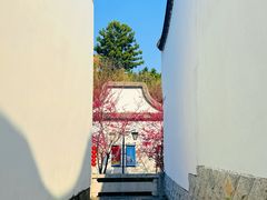 -乌山风景区
