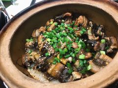 金牌黄鳝饭-红星光发煲仔饭(文海店)