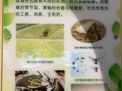 -上海昆虫博物馆