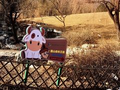 -北京西山国家森林公园