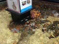 -盒马鲜生(曜一城店)