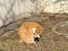 -北京鲁迅博物馆(北京新文化运动纪念馆鲁博馆区)