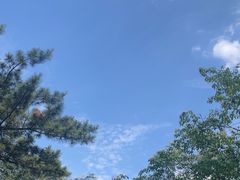 -黑龙江省森林植物园